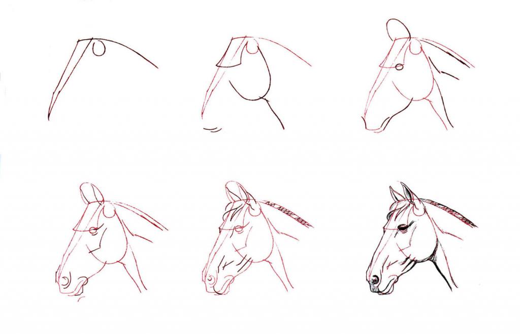 как нарисовать голову пони
