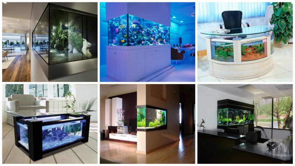 Различные варианты оформления аквариума