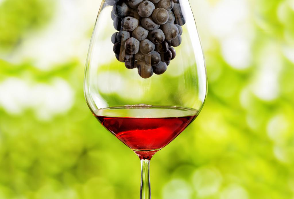 делают ли из винограда изабелла вино