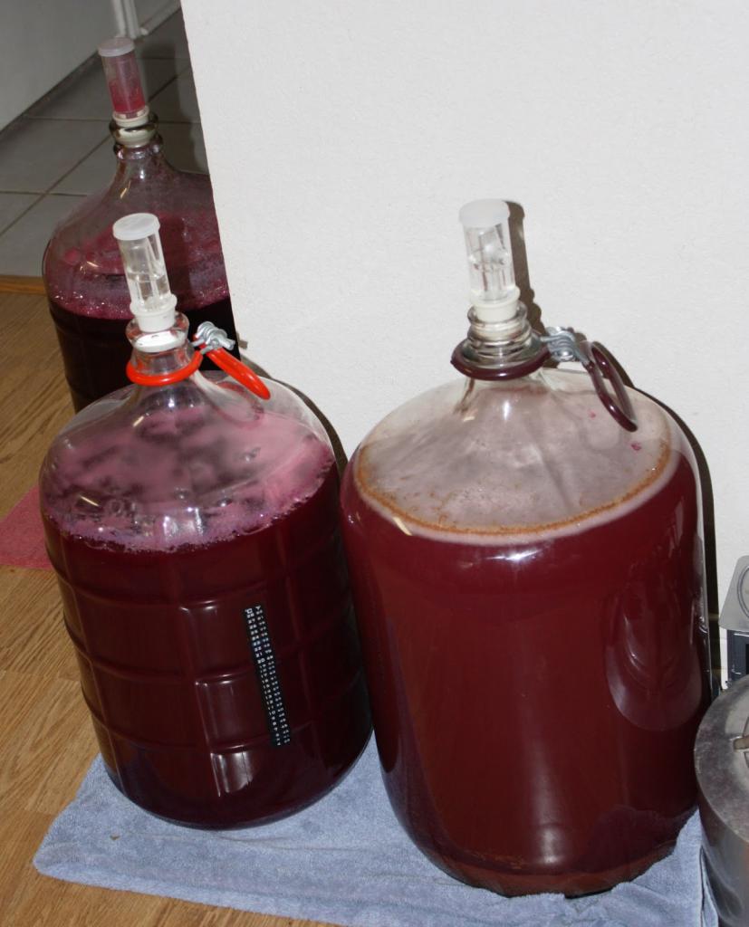как правильно делать вино из винограда изабелла