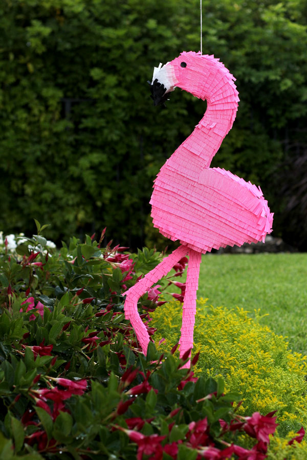 пиньята фламинго