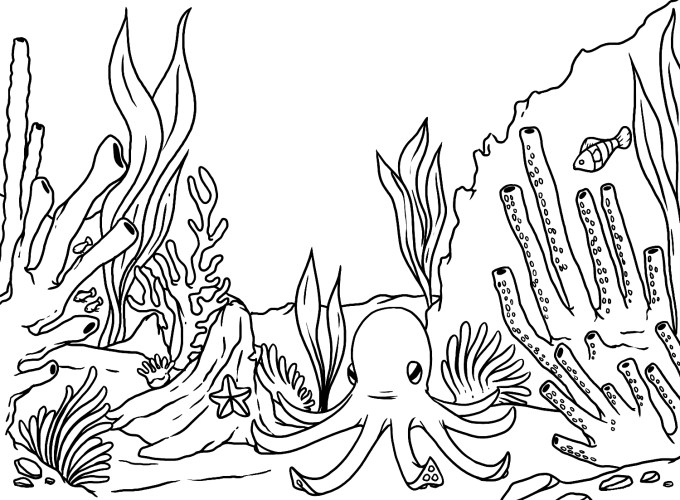 осьминог на дне моря