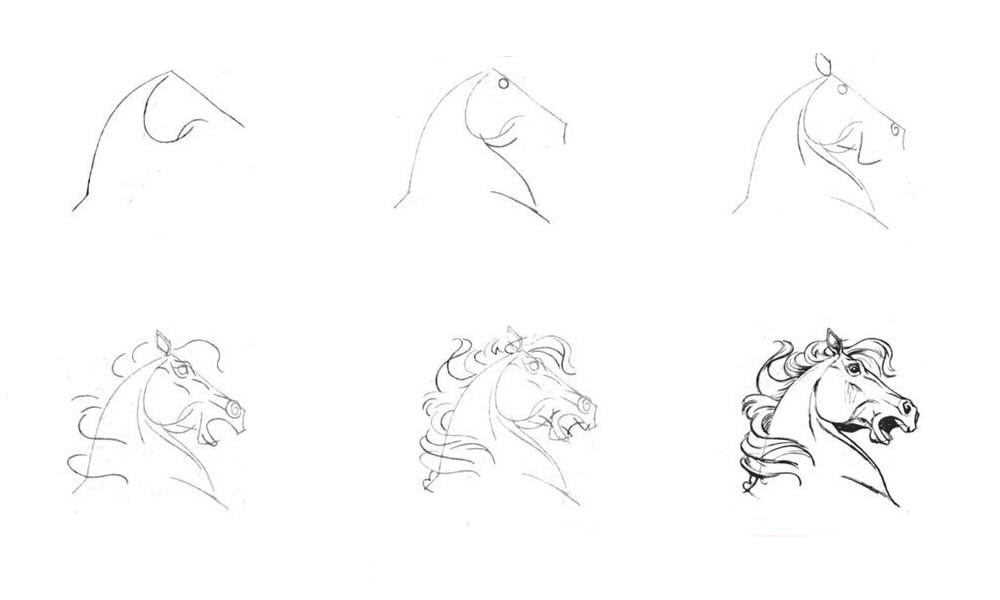 как нужно нарисовать голову пони
