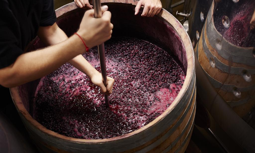 рецепт домашнего виноградного вина