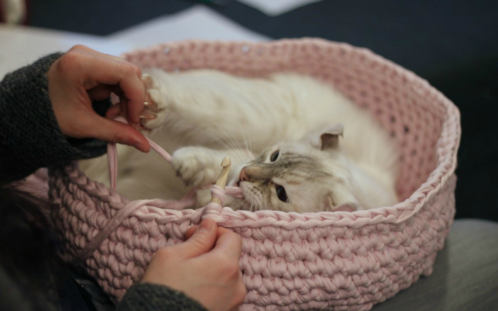 Как сделать лежанку для кошки из свитера своими руками?