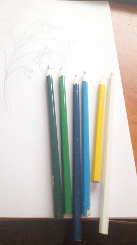 Какие карандаши используем