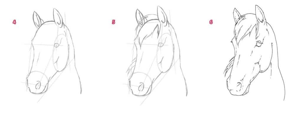 Как нарисовать портрет лошади